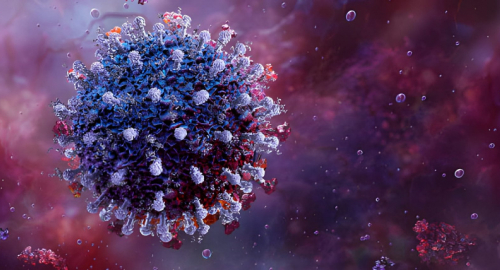 Covid, il ruolo nascosto dei lipidi: come il virus si assembla dentro la cellula
